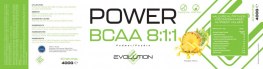 BCAA 8.1.1